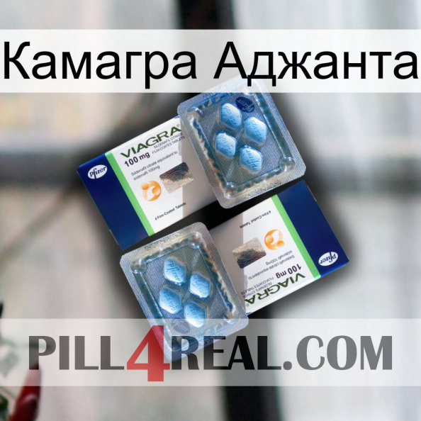 Камагра Аджанта viagra5.jpg